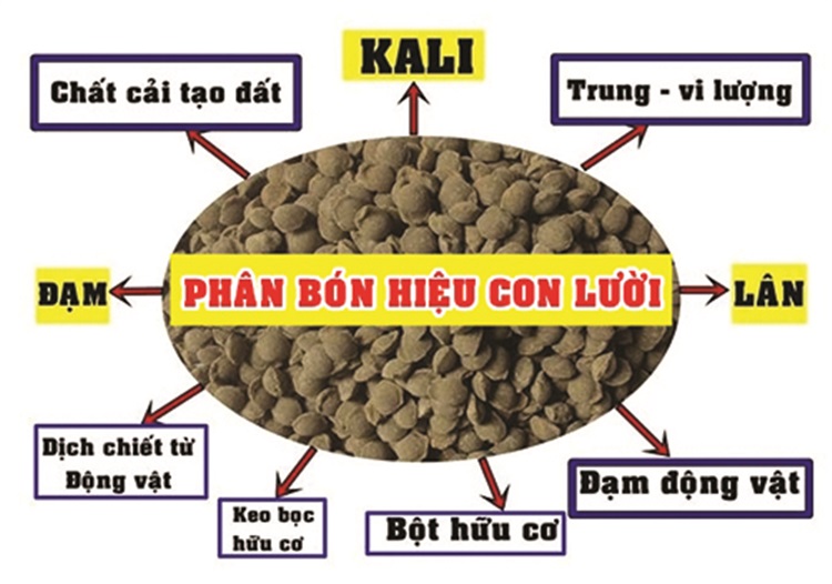 Phân bón con lười